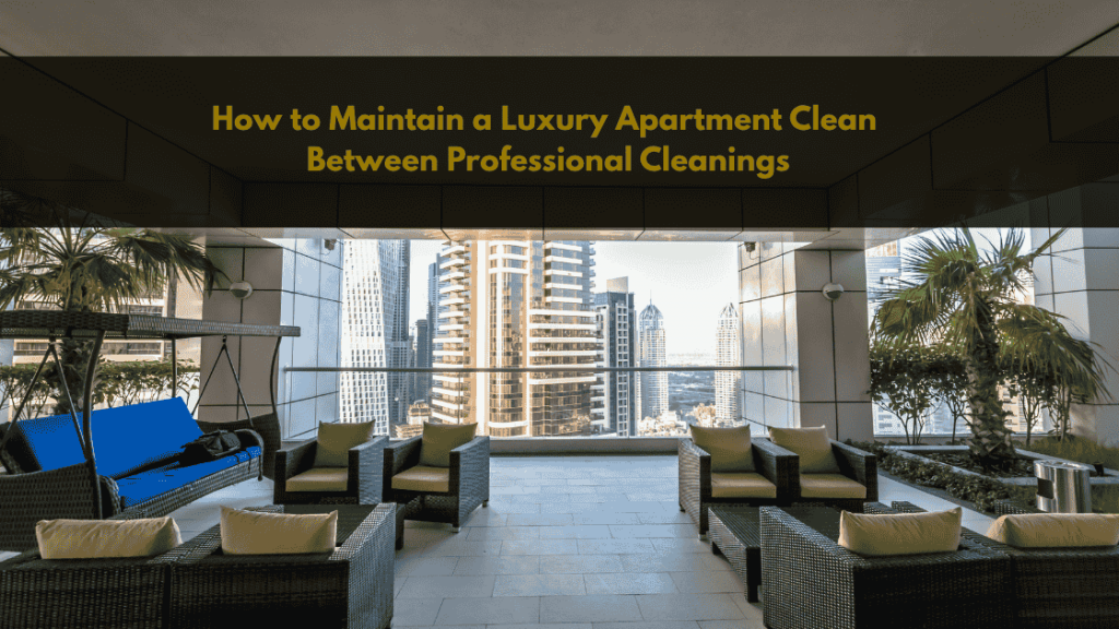 How to Maintain a Luxury Apartment Clean Between Professional Cleanings